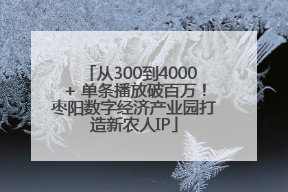 从300到4000+ 单条播放破百万！枣阳数字经济产业园打造新农人IP