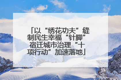 以“绣花功夫”缝制民生幸福“针脚” 宿迁城市治理“十项行动”加速落地
