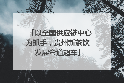 以全国供应链中心为抓手，贵州新茶饮发展弯道超车