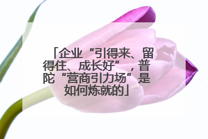 企业“引得来、留得住、成长好”，普陀“营商引力场”是如何炼就的