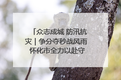 众志成城 防汛抗灾｜争分夺秒战风雨 怀化市全力以赴守护人民群众安全