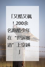 又酷又飒！200余名跑酷少年在“世运赛道”上穿越