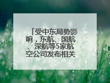 受中东局势影响，东航、国航、深航等5家航空公司发布相关航线退改政策