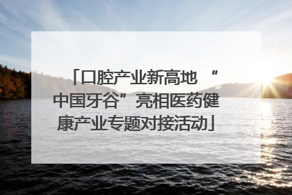 口腔产业新高地 “中国牙谷”亮相医药健康产业专题对接活动