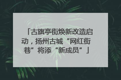 古旗亭街焕新改造启动，扬州古城“网红街巷”将添“新成员”