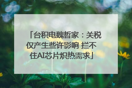 台积电魏哲家：关税仅产生些许影响 拦不住AI芯片炽热需求
