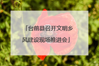 台前县召开文明乡风建设现场推进会