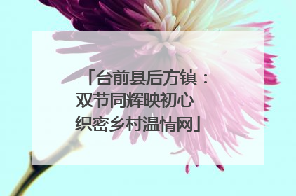 台前县后方镇：双节同辉映初心 织密乡村温情网