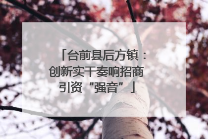 台前县后方镇：创新实干奏响招商引资“强音”