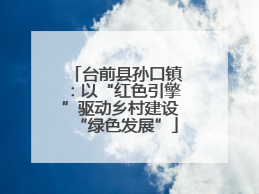 台前县孙口镇：以“红色引擎”驱动乡村建设“绿色发展”