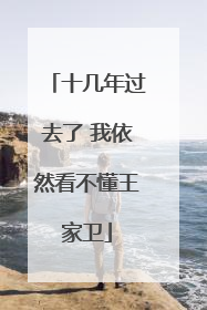 十几年过去了 我依然看不懂王家卫