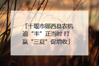 十堰市郧西县农机追“丰”正当时 打赢“三夏”促增收