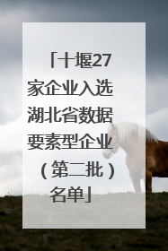 十堰27家企业入选湖北省数据要素型企业（第二批）名单