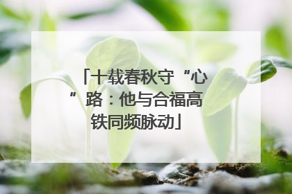 十载春秋守“心”路：他与合福高铁同频脉动