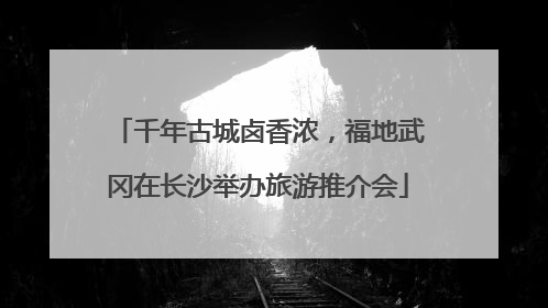 千年古城卤香浓，福地武冈在长沙举办旅游推介会