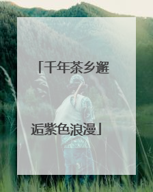 千年茶乡邂逅紫色浪漫