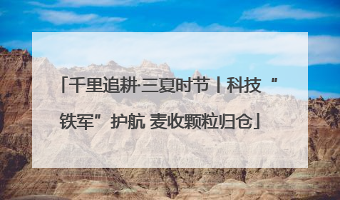千里追耕·三夏时节丨科技“铁军”护航 麦收颗粒归仓