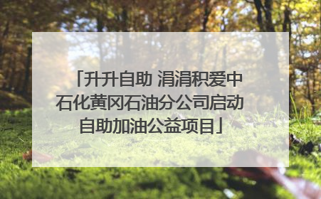 升升自助 涓涓积爱中石化黄冈石油分公司启动自助加油公益项目
