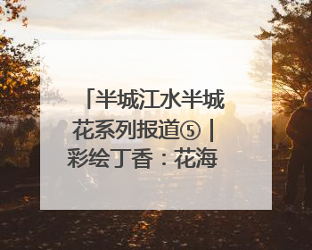 半城江水半城花系列报道⑤｜彩绘丁香：花海映照一座城