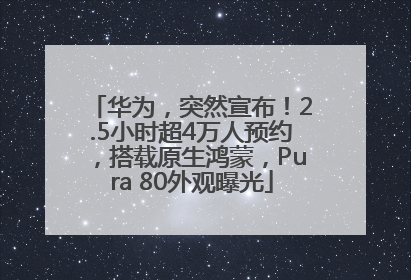 华为，突然宣布！2.5小时超4万人预约，搭载原生鸿蒙，Pura 80外观曝光