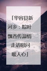 华容县新河乡：粽叶飘香传温情 走访慰问暖人心