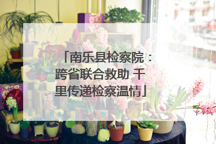 南乐县检察院：跨省联合救助 千里传递检察温情