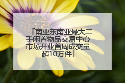 南亚东南亚最大二手闲置物品交易中心市场开业首周成交量超10万件
