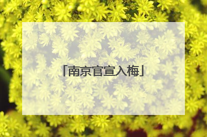 南京官宣入梅