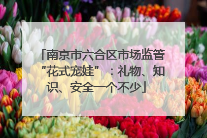 南京市六合区市场监管“花式宠娃”：礼物、知识、安全一个不少