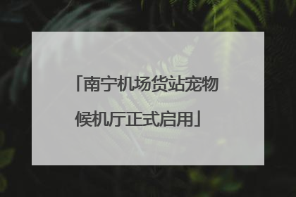 南宁机场货站宠物候机厅正式启用