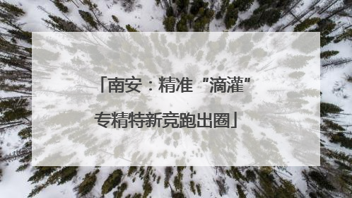 南安：精准“滴灌”专精特新竞跑出圈