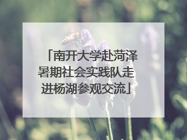 南开大学赴菏泽暑期社会实践队走进杨湖参观交流