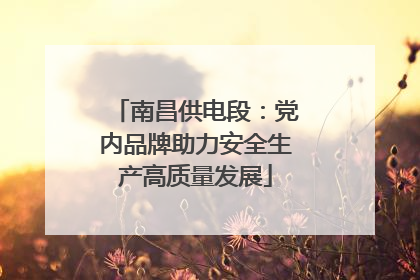 南昌供电段：党内品牌助力安全生产高质量发展