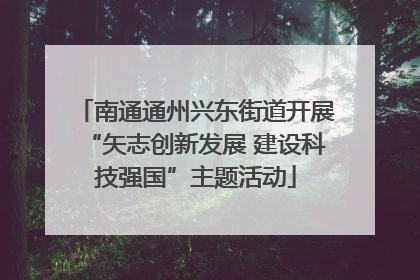 南通通州兴东街道开展“矢志创新发展 建设科技强国”主题活动