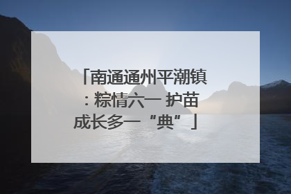 南通通州平潮镇：粽情六一 护苗成长多一“典”
