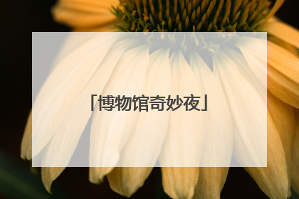 博物馆奇妙夜