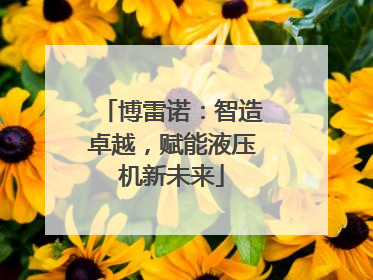 博雷诺：智造卓越，赋能液压机新未来