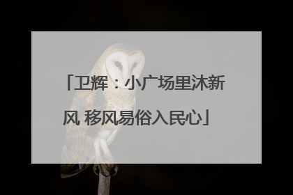卫辉：小广场里沐新风 移风易俗入民心