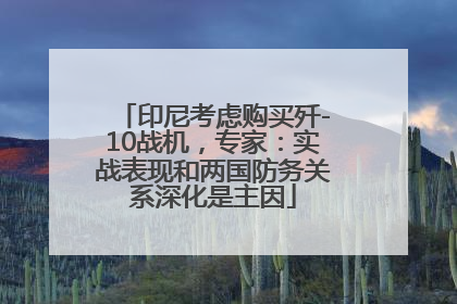 印尼考虑购买歼-10战机，专家：实战表现和两国防务关系深化是主因