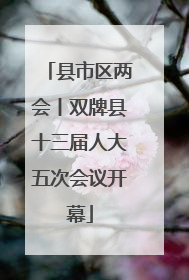 县市区两会丨双牌县十三届人大五次会议开幕