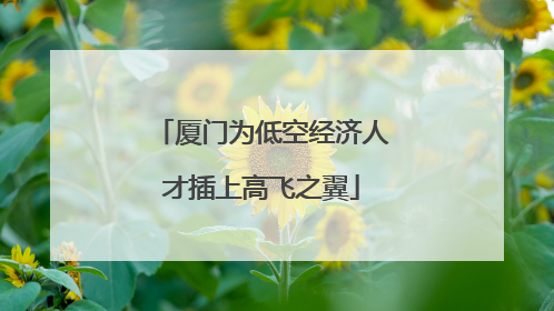 厦门为低空经济人才插上高飞之翼