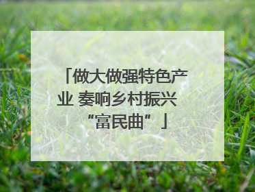 做大做强特色产业 奏响乡村振兴“富民曲”