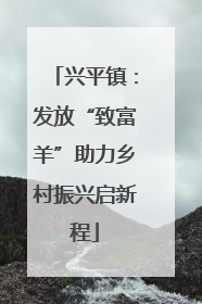 兴平镇：发放“致富羊”助力乡村振兴启新程