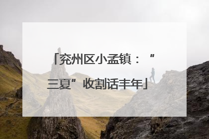 兖州区小孟镇：“三夏”收割话丰年