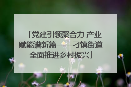 党建引领聚合力 产业赋能谱新篇——刁镇街道全面推进乡村振兴