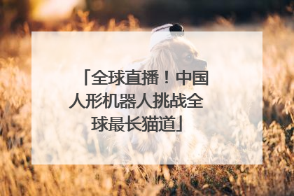 全球直播！中国人形机器人挑战全球最长猫道