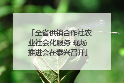 全省供销合作社农业社会化服务 现场推进会在泰兴召开