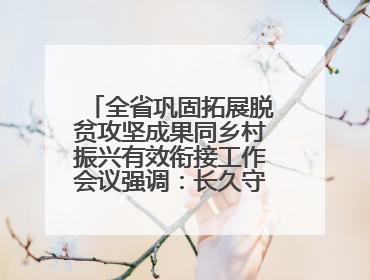 全省巩固拓展脱贫攻坚成果同乡村振兴有效衔接工作会议强调：长久守牢不发生规模性返贫致贫底线 王宁出席并讲话 王予波主持