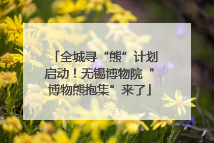 全城寻“熊”计划启动！无锡博物院“博物熊抱集”来了