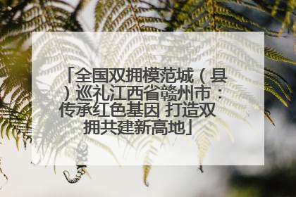 全国双拥模范城（县）巡礼江西省赣州市：传承红色基因 打造双拥共建新高地